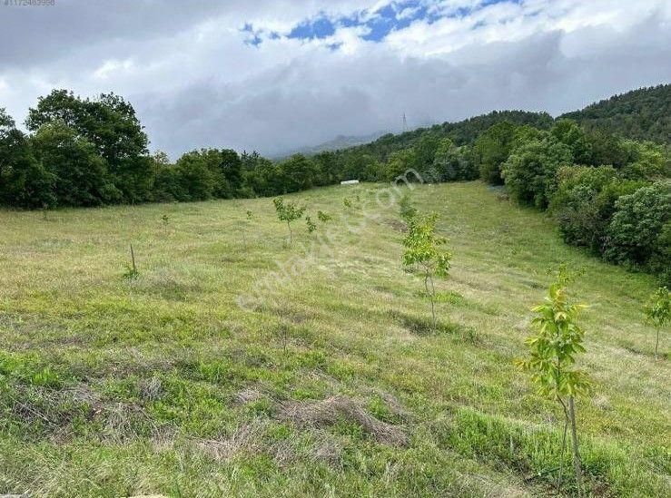 Bursa İnegöl Satılık Tarla - Görsel 5