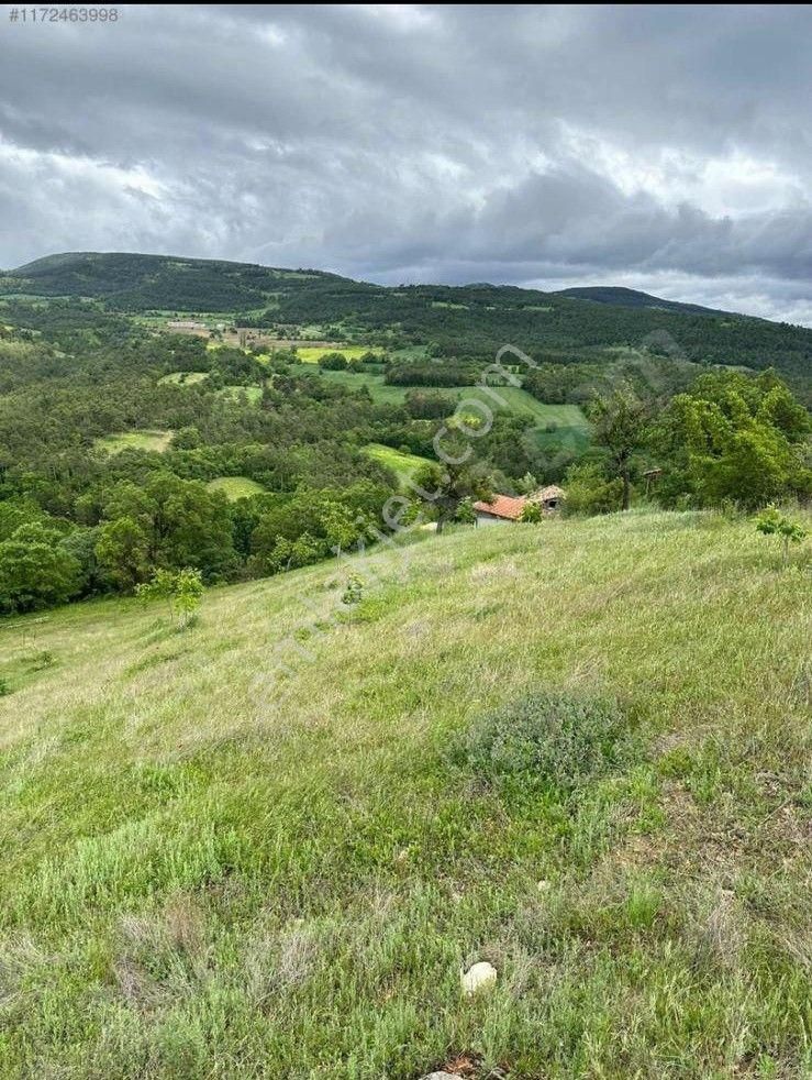 Bursa İnegöl Satılık Tarla - Görsel 7