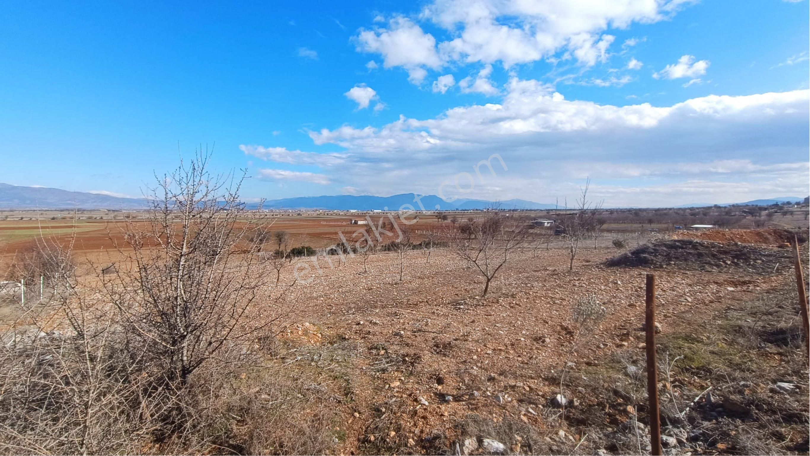 Acıpayam Yassıhüyük Satılık Tarla Popüler Bölgede Ana Yol Yakını Fırsat Arazi Sizlerle...