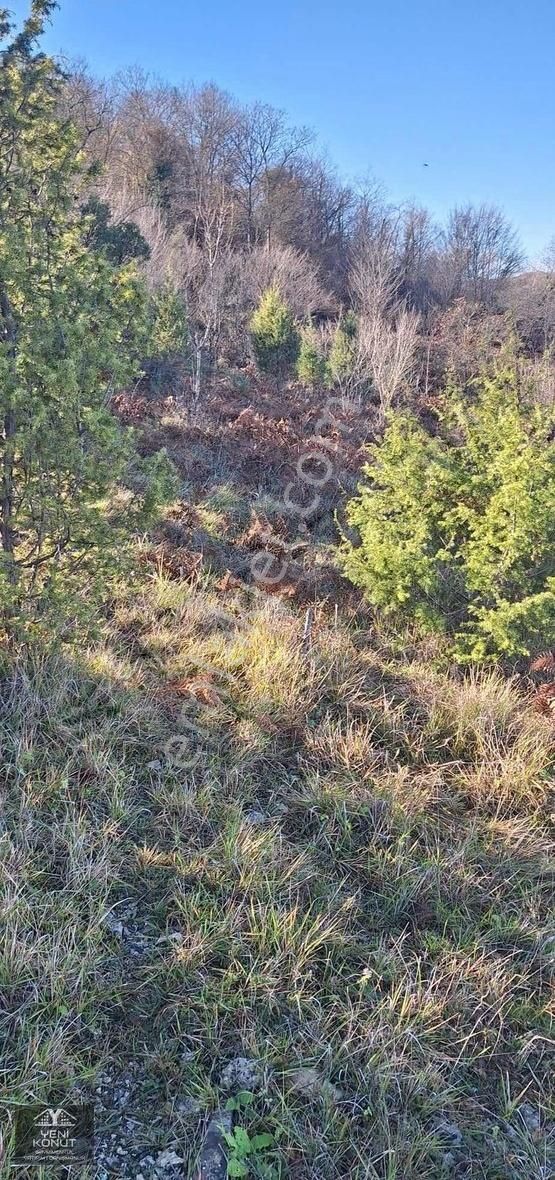 Gebze Elbizli Satılık Konut İmarlı Yeni Konut Gayrimenkul'den Gebze'de Satılık Arsa(takaslı)