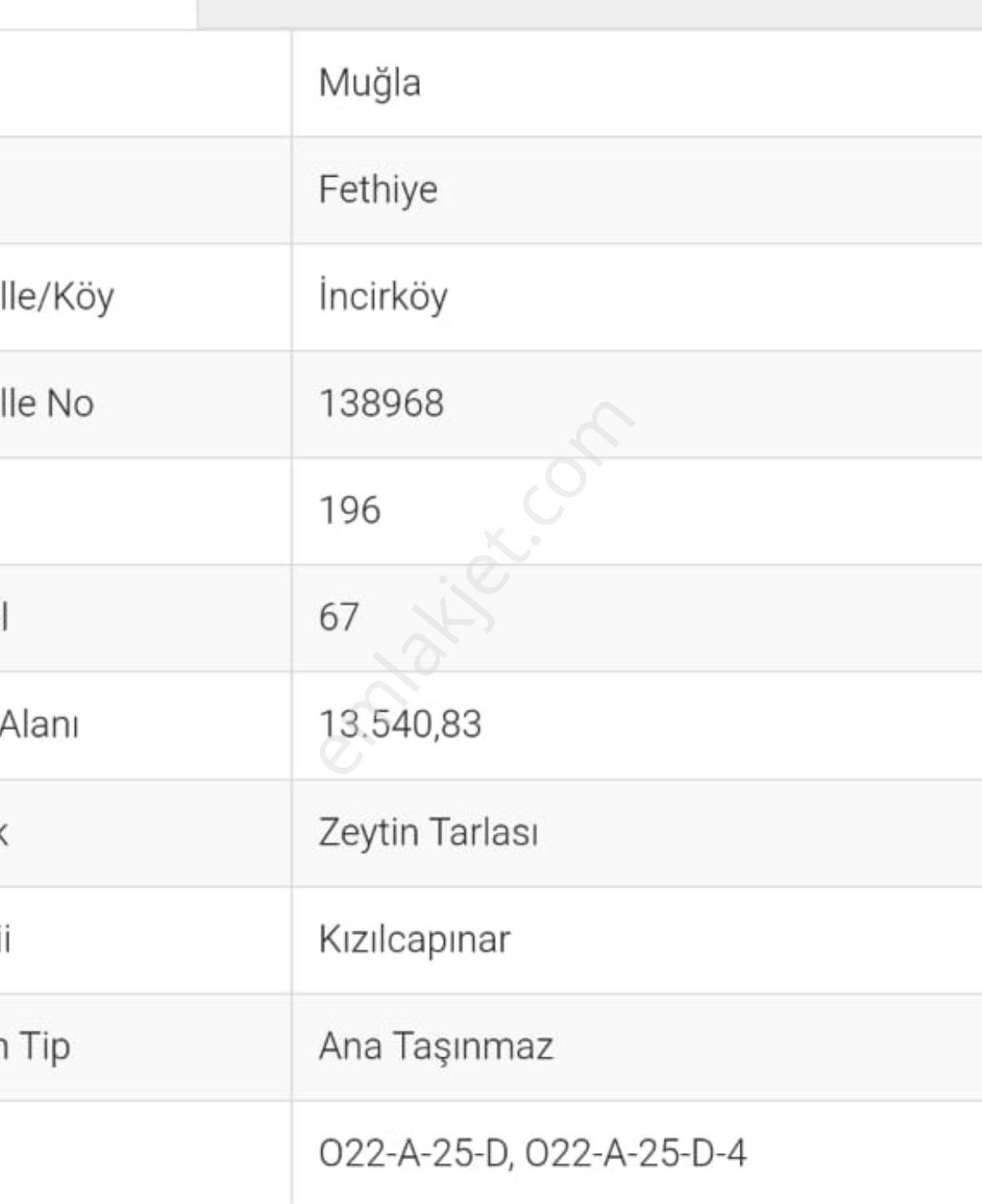 Fethiye İncirköy Satılık Tarla Satılık Zeytin Tarlası