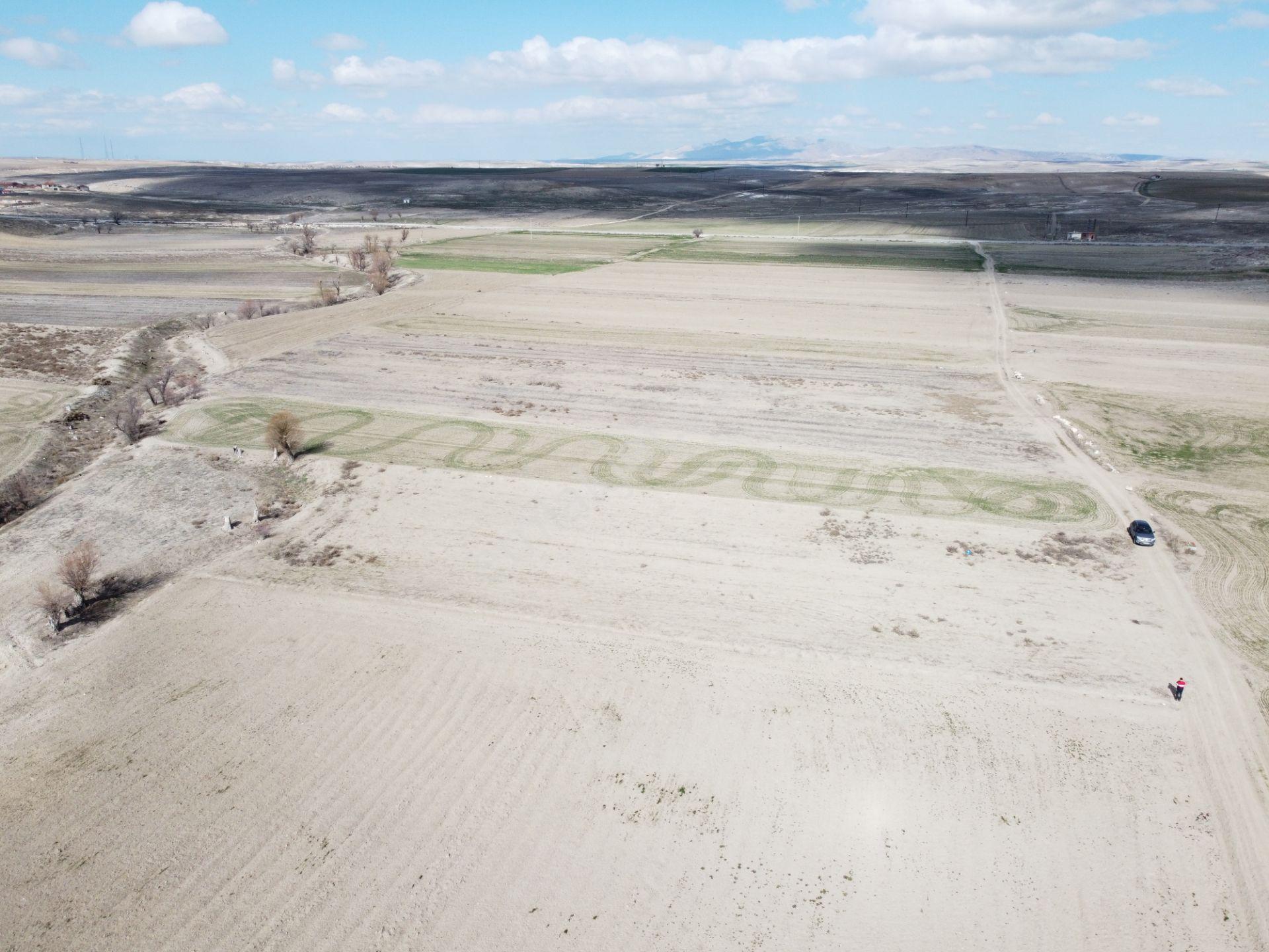 Konya Çeltik Gökpınarda 2650m2 Tek Tapu Tarla Karadeniz Emlaktan - Görsel 8