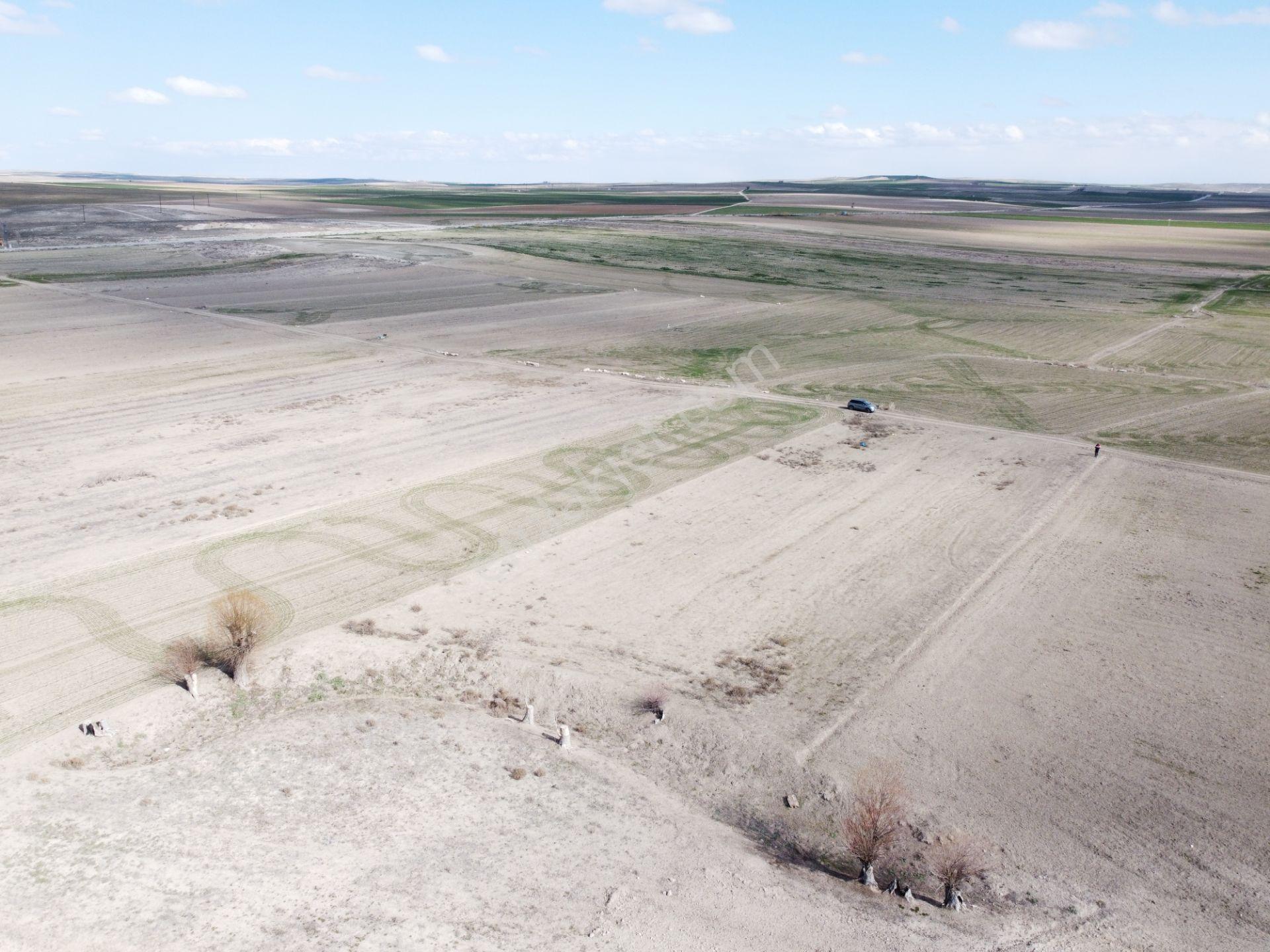 Konya Çeltik Gökpınarda 2650m2 Tek Tapu Tarla Karadeniz Emlaktan - Görsel 7