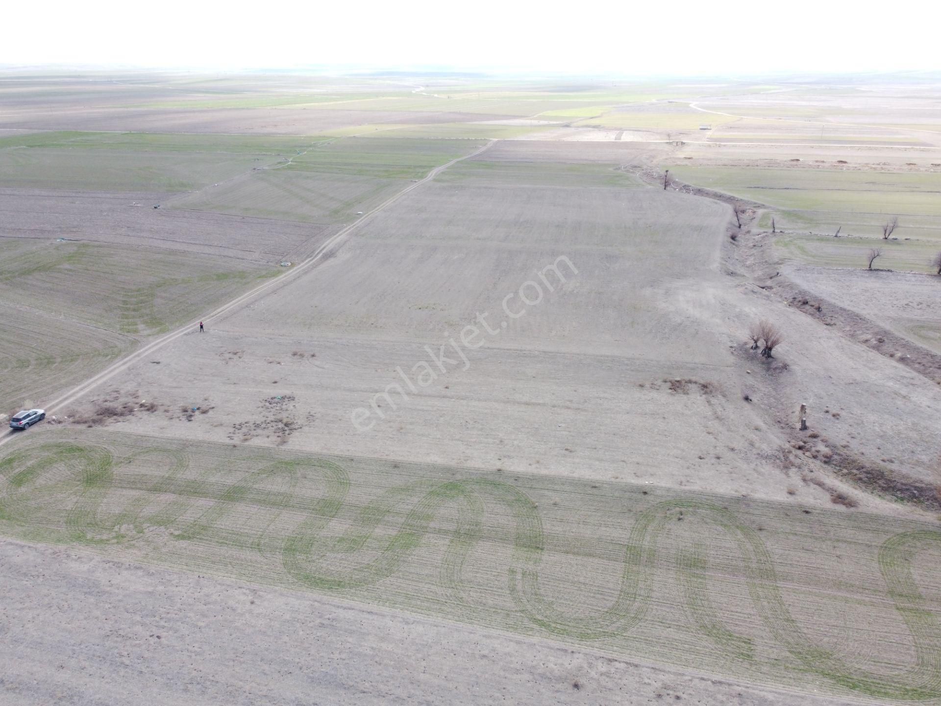 Çeltik Gökpınar Satılık Tarla Konya Çeltik Gökpınarda 2650m2 Tek Tapu Tarla Karadeniz Emlaktan