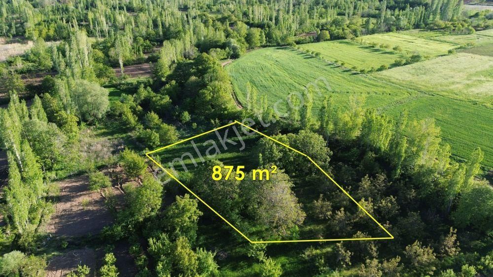 Şarkikaraağaç Fele Köyü Satılık Bağ & Bahçe Isparta Şarkikaraağaç Fele De 875 M2 Müstakil Tapulu Bahçe