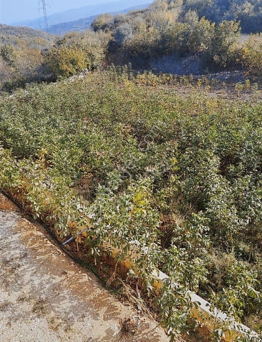 Bandırma Yenice Satılık Tarla Bnd İdol Sizlere Olmaz Böyle Dedirtecek 4573 M2 Satılık