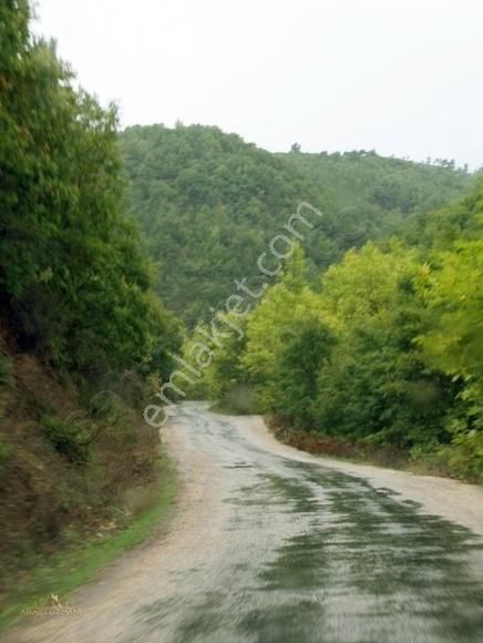 Çan Asmalı Köyü Satılık Tarla Arazi Uzmanından Çanakkale'den 6650 M2 Dev Yatırım Fırsatı