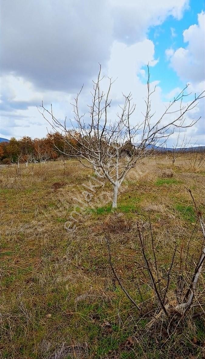 Bandırma Yeniziraatli Satılık Tarla Bnd İdol Den Satılık Tarla Yeniziraatlıda 3040 M2