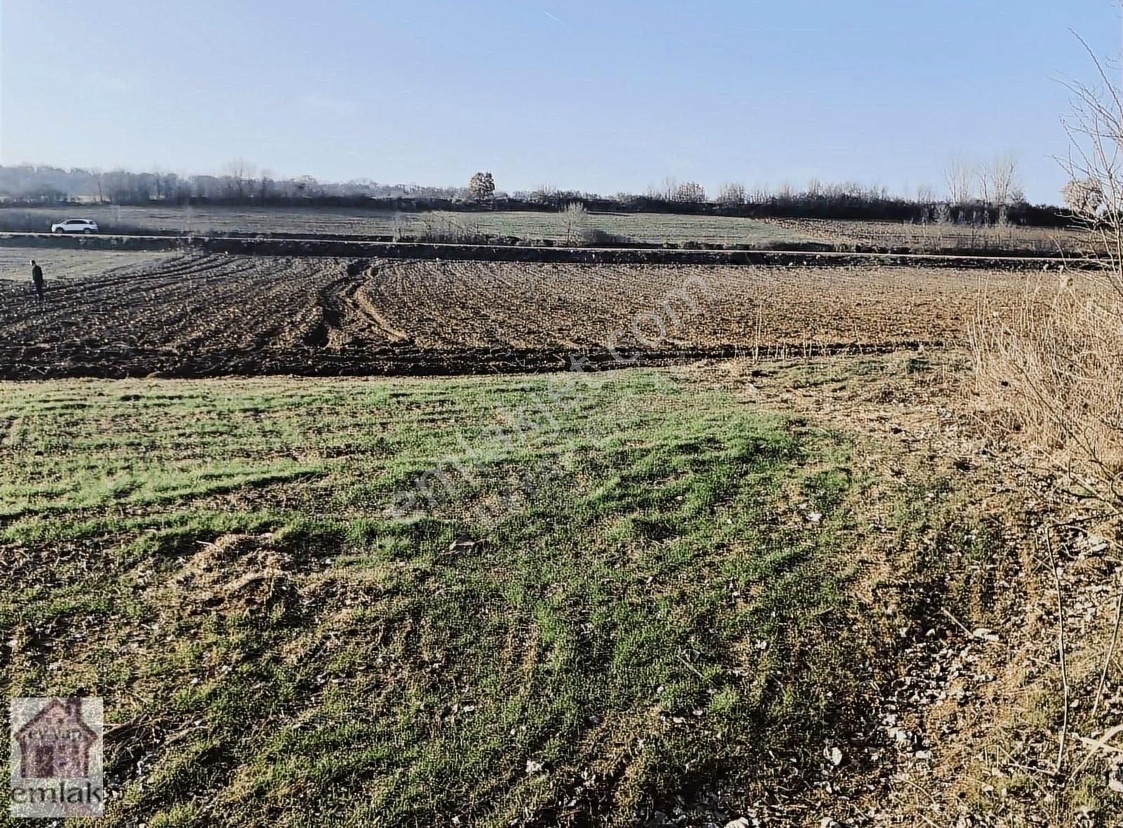 Kırklareli Merkez Paşayeri Köyü Satılık Tarla Paşayeri Köyüne 1 Km Suyu Var 2300m2 Asfalt Yola 2 Parsel