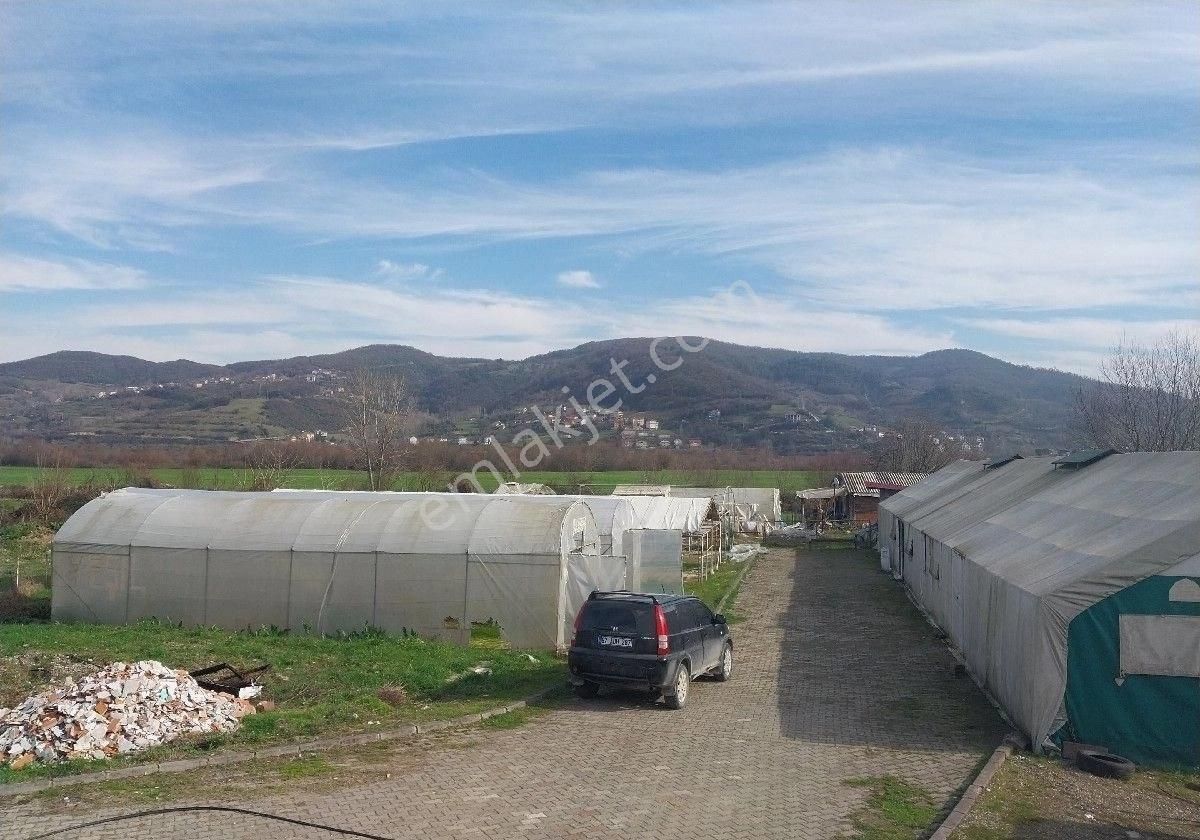 Çaycuma Çay Satılık Fabrika Zonguldak Çaycuma Veli Köyü Mahalesinde Satılık Halı Yıkama Fabrikası