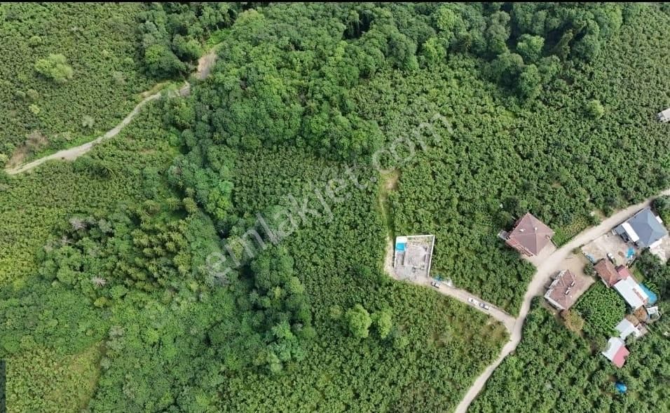 Ortahisar Akoluk Satılık Bağ & Bahçe Trabzon Ortahisar Akoluk Mahallesi 2.620 M2 Satılık Arsa