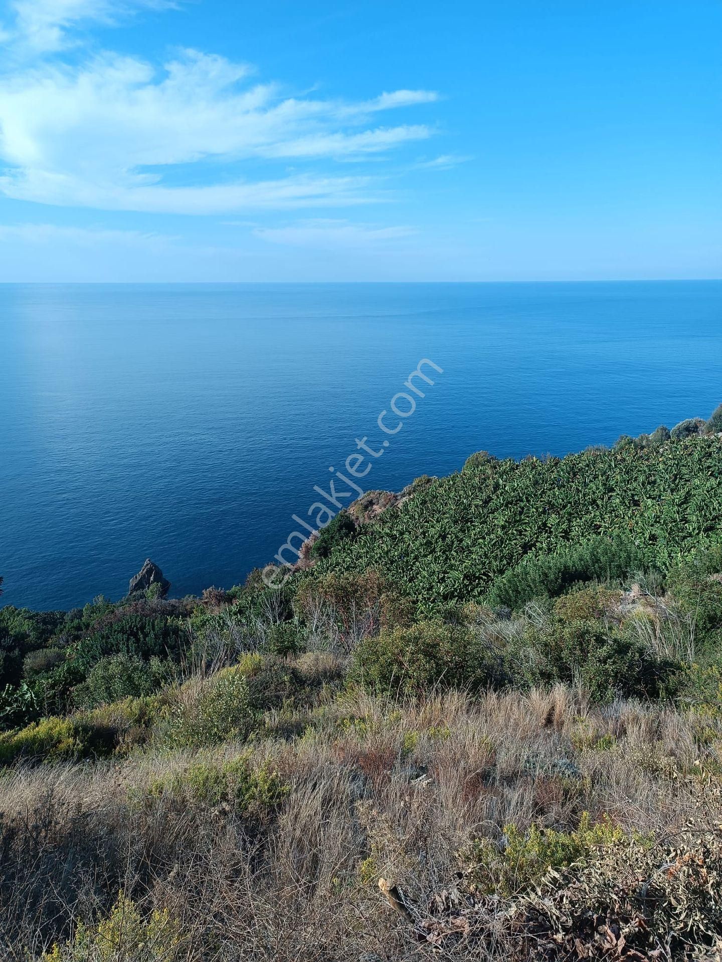 Gazipaşa Muzkent Satılık Tarla Antalya Gazipaşa Deniz Manzaralı Tarla !!!