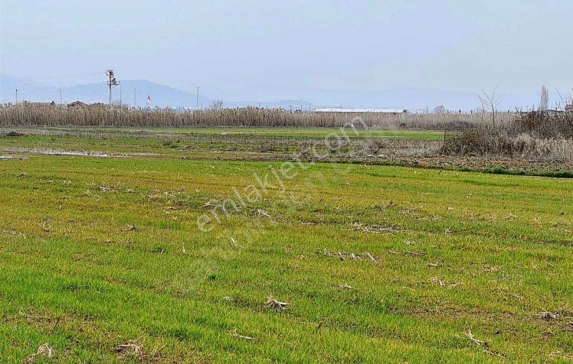 İvrindi Gökçeyazı Satılık Tarla S&s Emlak'dan Balıkesir Gökçeyazı'da Satılık 1550 M2 Tarla