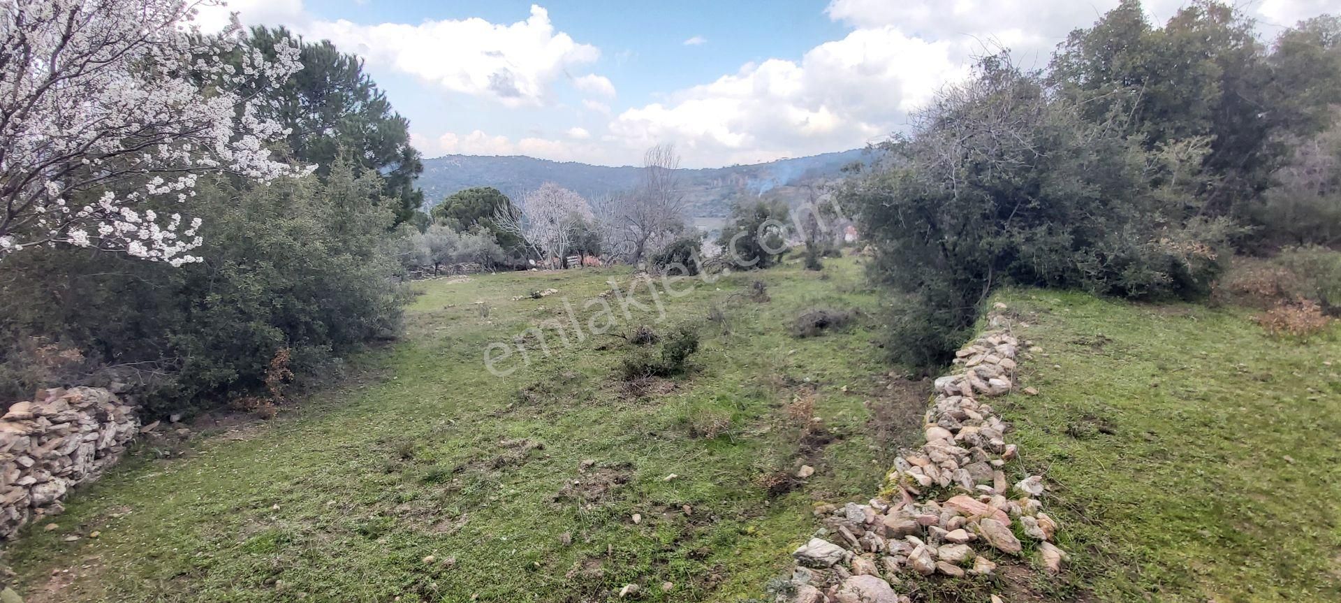 Söke Kaykıllı Köyün De 4.893 M² Arsa İçinde Müstakil Ev - Görsel 3