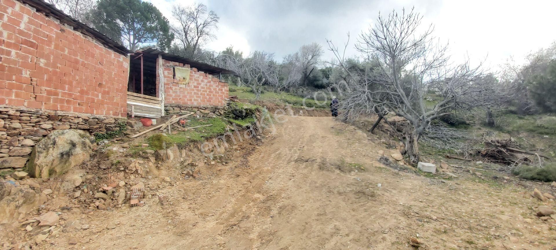 Söke Kaykıllı Köyün De 4.893 M² Arsa İçinde Müstakil Ev - Görsel 31