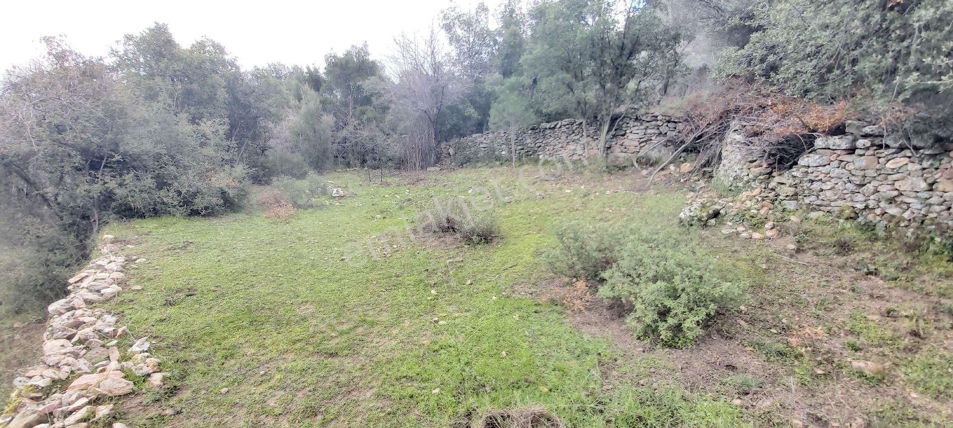 Söke Kaykıllı Köyün De 4.893 M² Arsa İçinde Müstakil Ev - Görsel 20