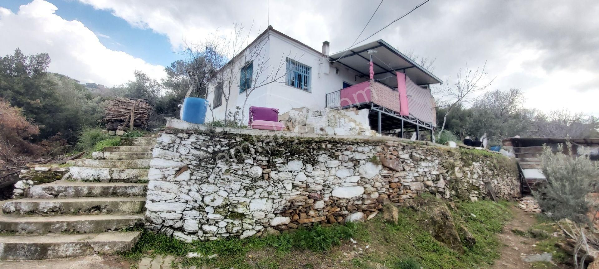 Söke Kaykıllı Köyün De 4.893 M² Arsa İçinde Müstakil Ev - Görsel 21