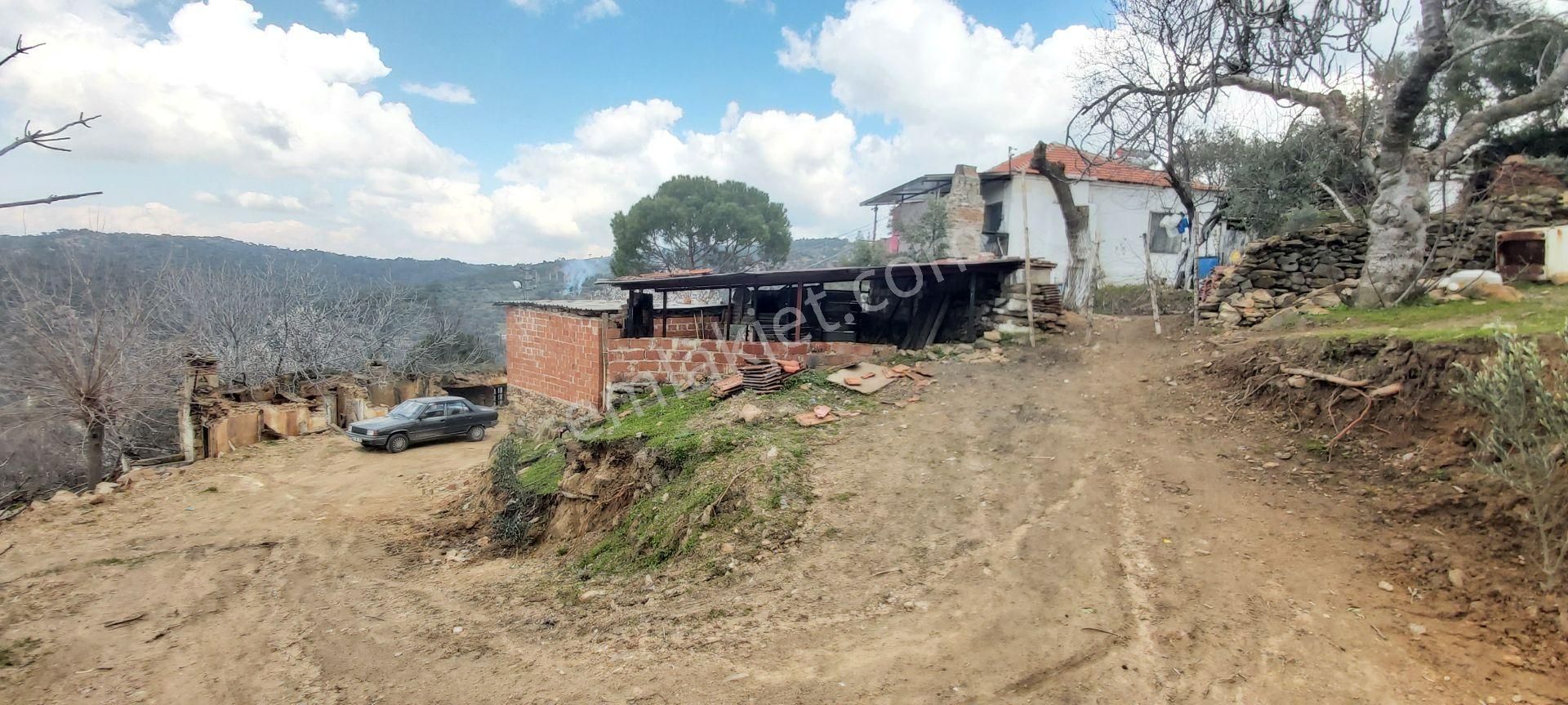 Söke Kaykıllı Köyün De 4.893 M² Arsa İçinde Müstakil Ev - Görsel 24