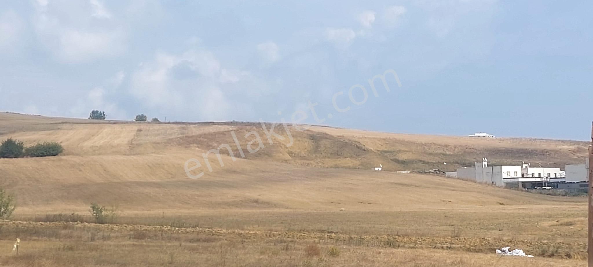 İlkadım Toybelen Satılık Tarla Toybelenda Satılık Tarla