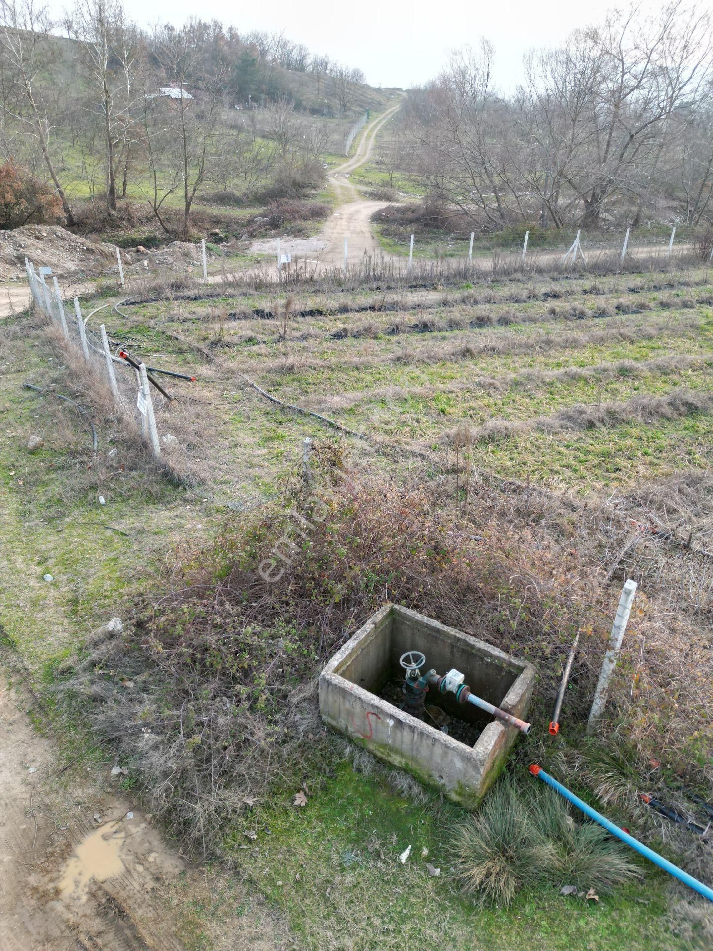 İnegöl Küçükyenice Satılık Tarla Sahibinden Satılık