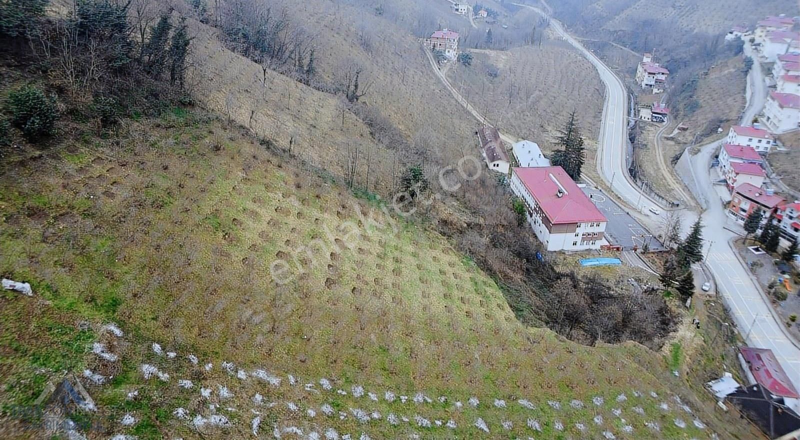 Akçaabat Akçaköy Satılık Tarla Trabzon Akçaabat'ta Satılık Arazi