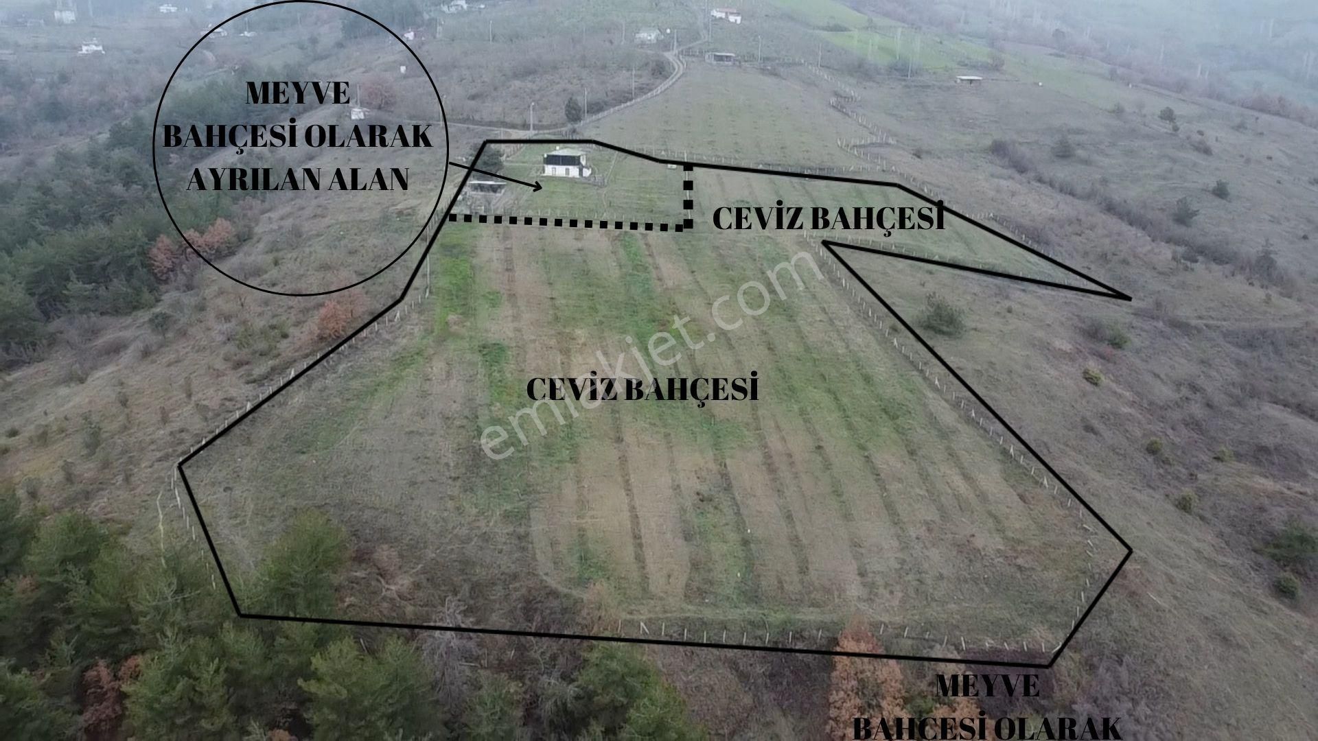 Geyve Melekşesolak Satılık Tarla Çok Uygun Fiyatlı Mükemmel Çiftlik Arazisi Fırsat...