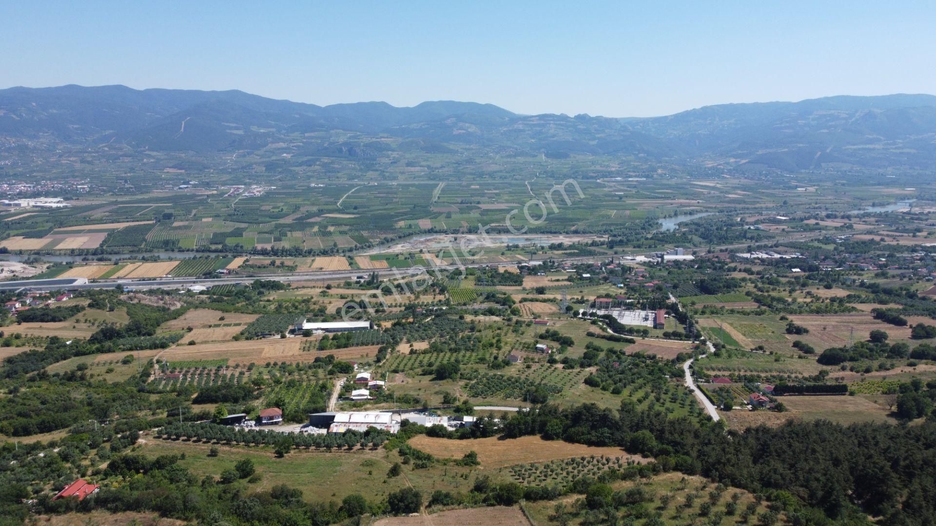 Getirisi Yüksek Zeytin Bahçesi Bakımlı 3894 M2 - Görsel 9