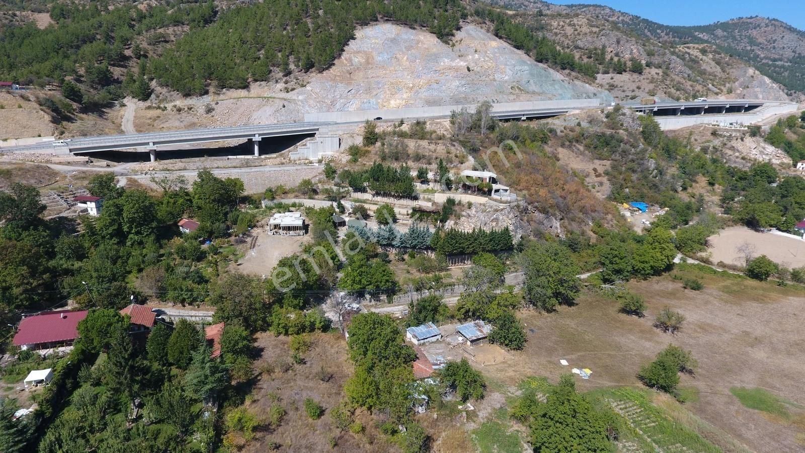 Tokat Merkez Geyras Satılık Bağ & Bahçe Geyras'ta 5200 M2 Bahçe Tek Tapu İçinde Villa Kış Bahçesi Dolgun Peyzaj