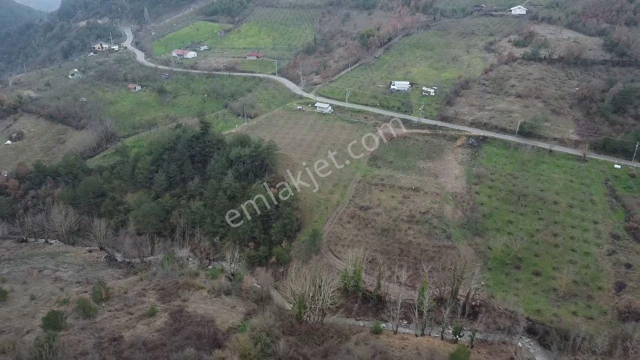 Ana Asfalt Kenarı Elektrik Su Var Fırsat !!! - Görsel 13