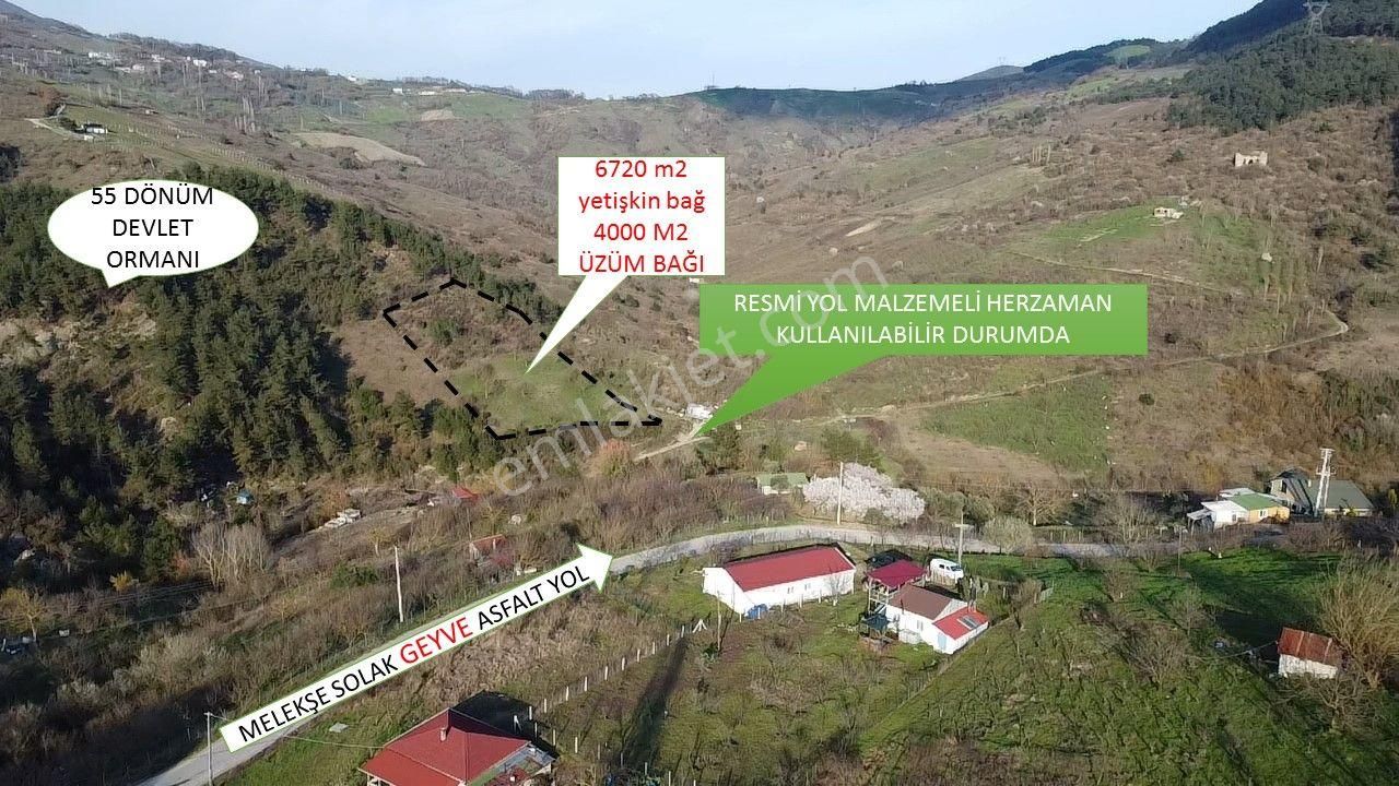 Geyve Melekşesolak Satılık Bağ & Bahçe Rw İzzet Akından Kazançlı Yatırım İçin Fırsat Arazi