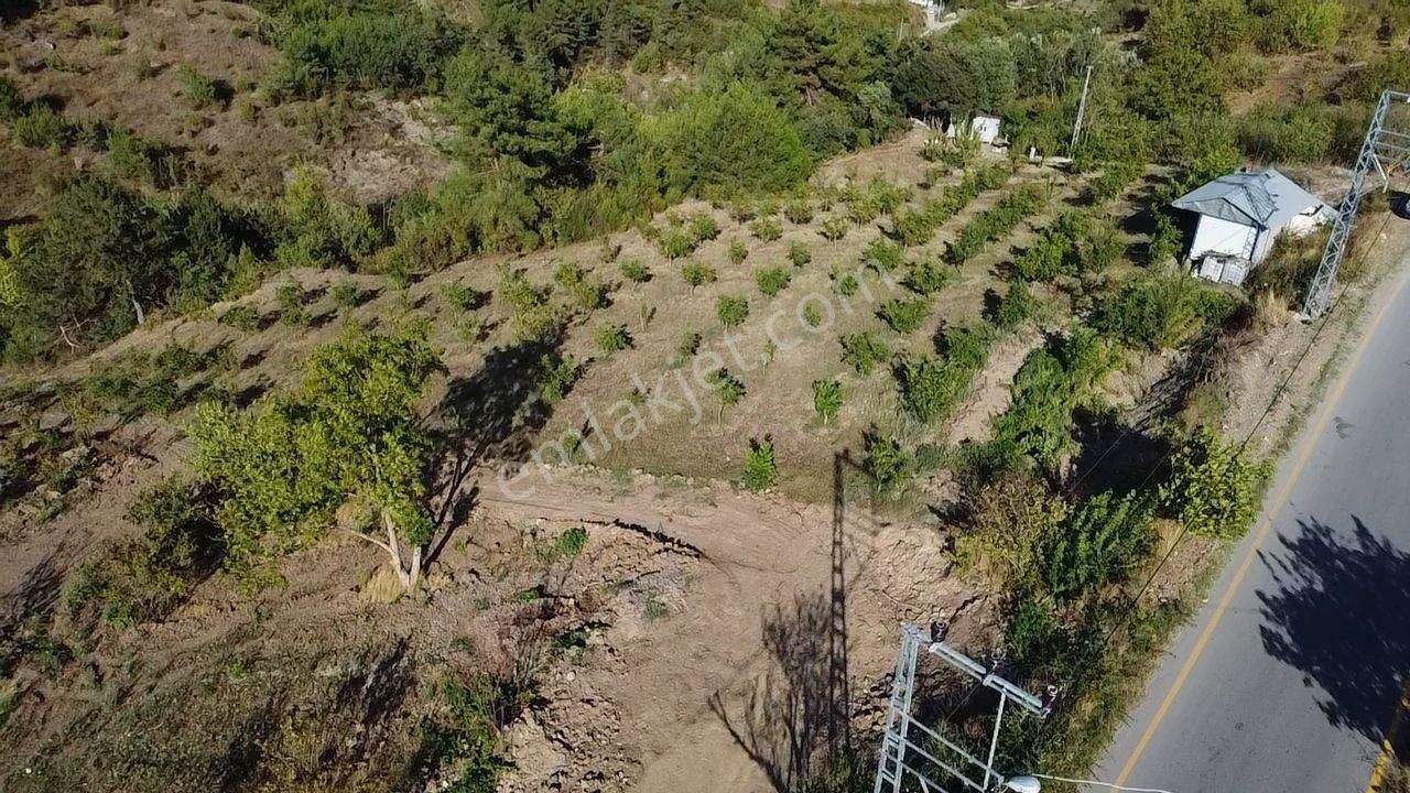 Kazançlı Topraktan Asfalt Kenarı Cevizlik - Görsel 7