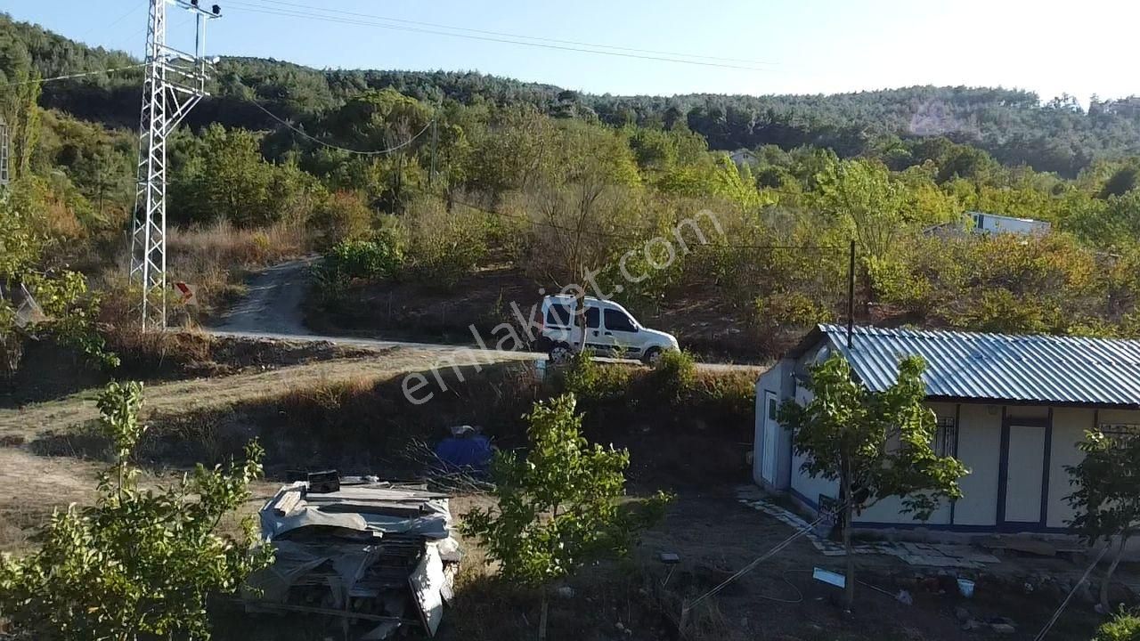 Kazançlı Topraktan Asfalt Kenarı Cevizlik - Görsel 23
