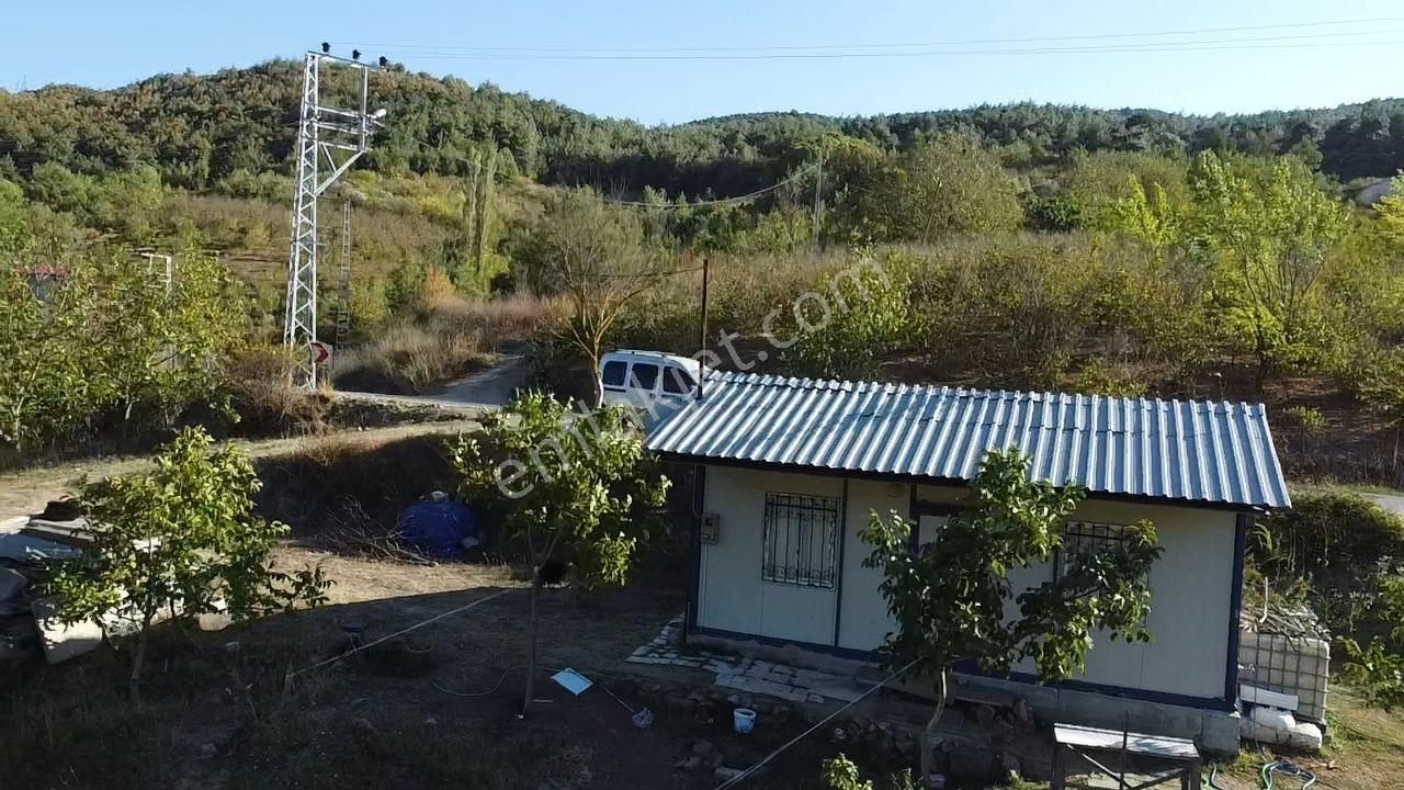 Kazançlı Topraktan Asfalt Kenarı Cevizlik - Görsel 21