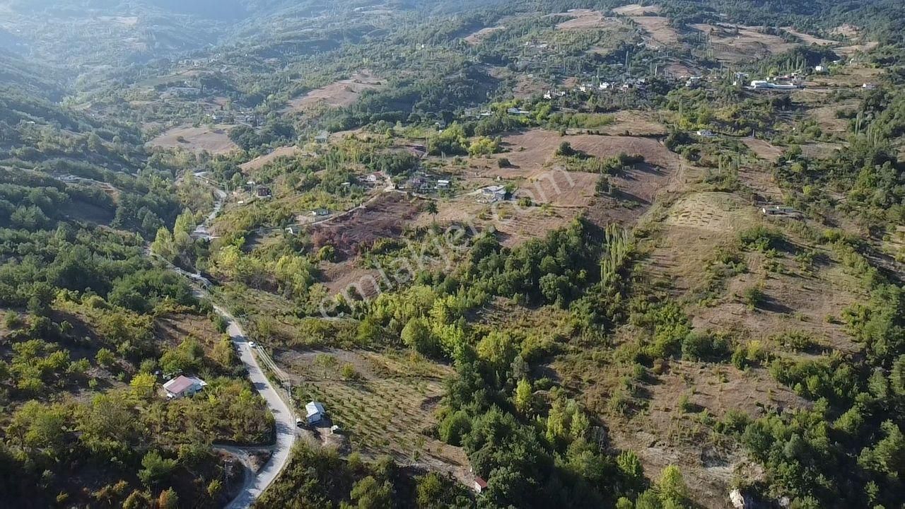 Kazançlı Topraktan Asfalt Kenarı Cevizlik - Görsel 14