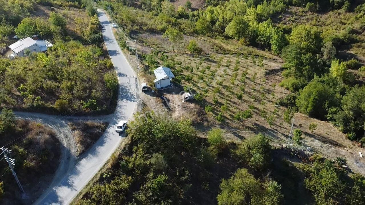 Kazançlı Topraktan Asfalt Kenarı Cevizlik - Görsel 11