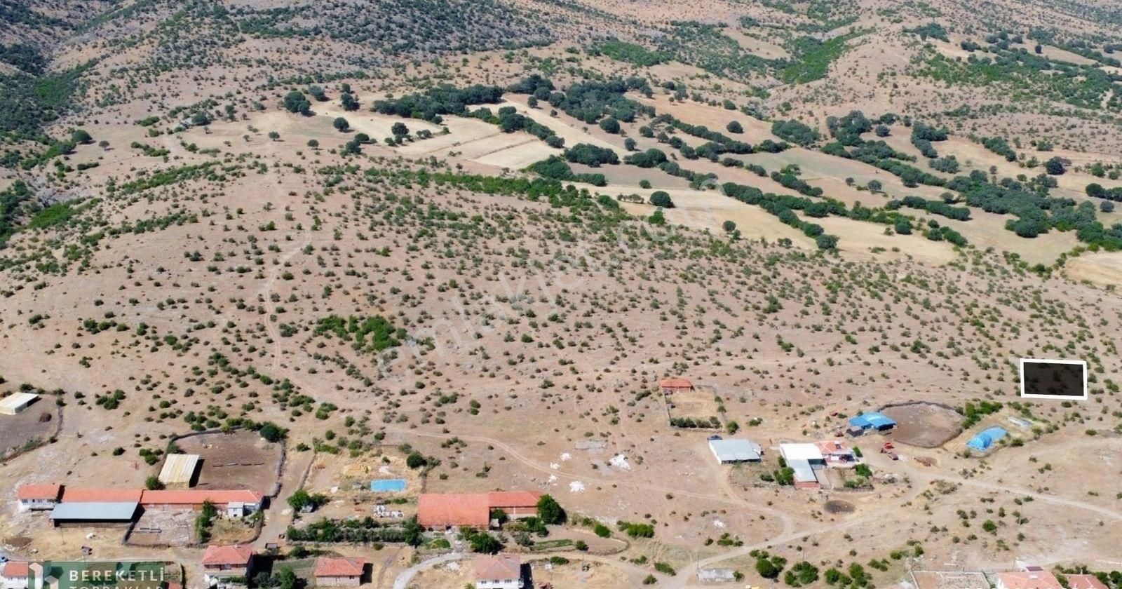 Sındırgı Armutlu Satılık Konut İmarlı Balıkesir Sındırgı Armutlu Mah. Müstakil Satılık İmarlı Arsa