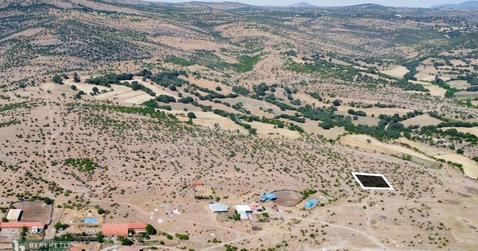 Sındırgı Armutlu Satılık Konut İmarlı Balıkesir Sındırgı Armutlu Mah. Müstakil Satılık İmarlı Arsa