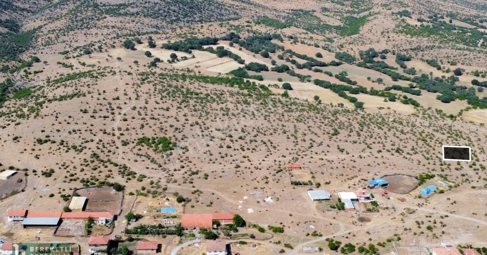 Sındırgı Armutlu Satılık Konut İmarlı Balıkesir Sındırgı Armutlu Mah. Müstakil Satılık İmarlı Arsa