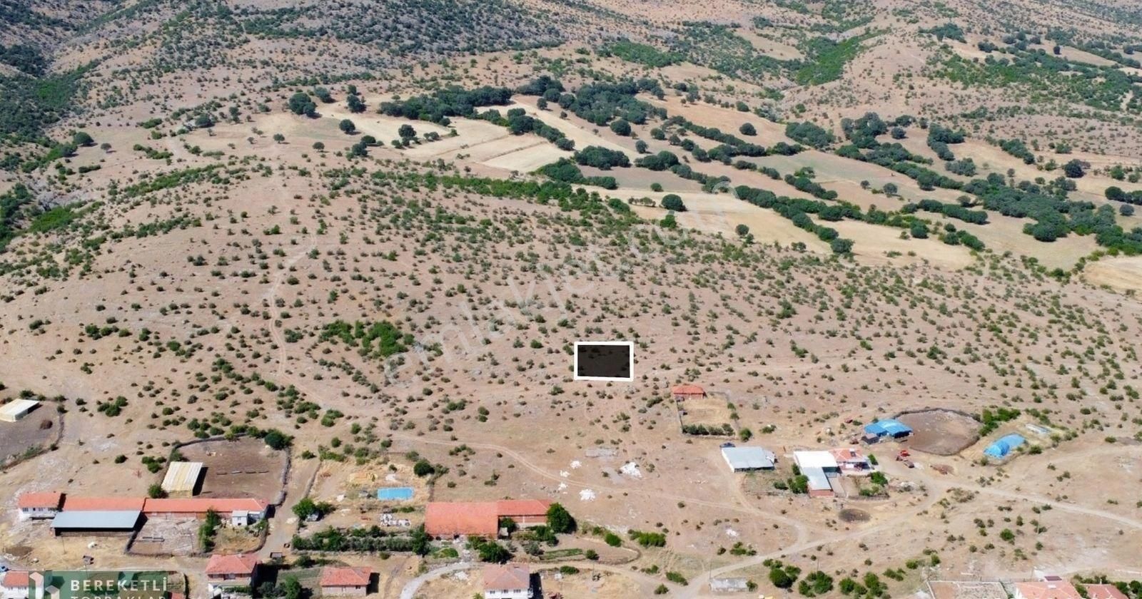 Sındırgı Armutlu Satılık Konut İmarlı Balıkesir Sındırgı Armutlu Mah. Müstakil Satılık İmarlı Arsa