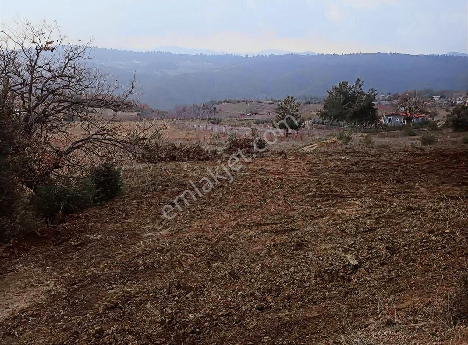 Kestel Kayacık Satılık Tarla Hd'den Yolu Suyu Olan Manzaralı Tarla