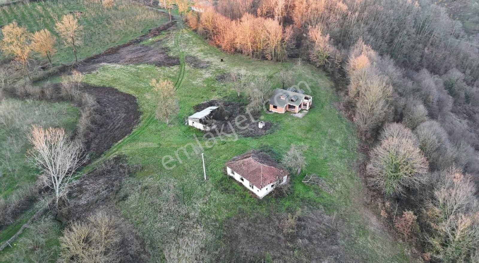 Hendek Kalayık Satılık Konut İmarlı Kalayık Mah Muhteşem Manzara Ve Süper Arsa