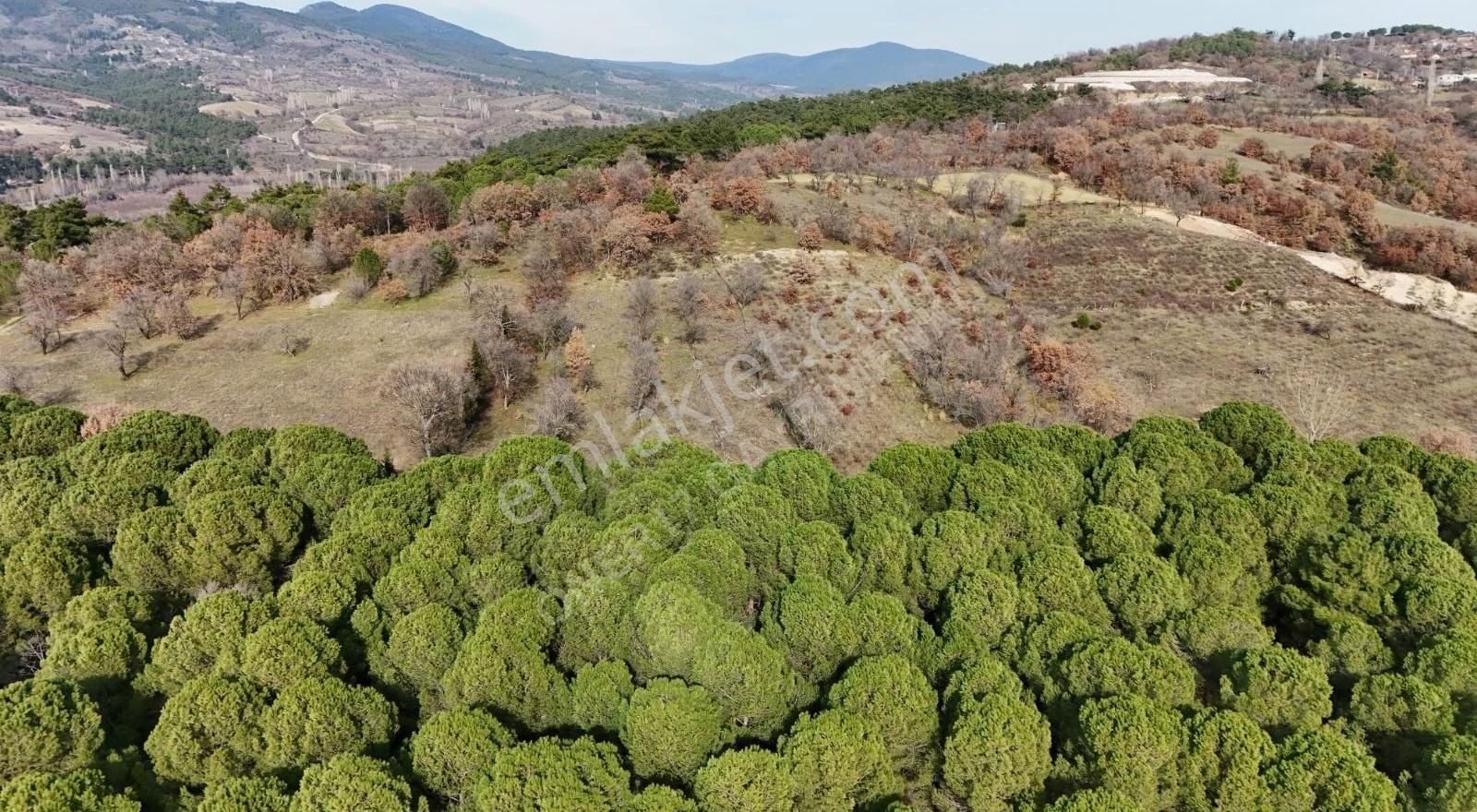 Bayramiç Külcüler Köyü Satılık Tarla Çanakkale Bayramiç Külcüler Köyü Hobi Bahçesi