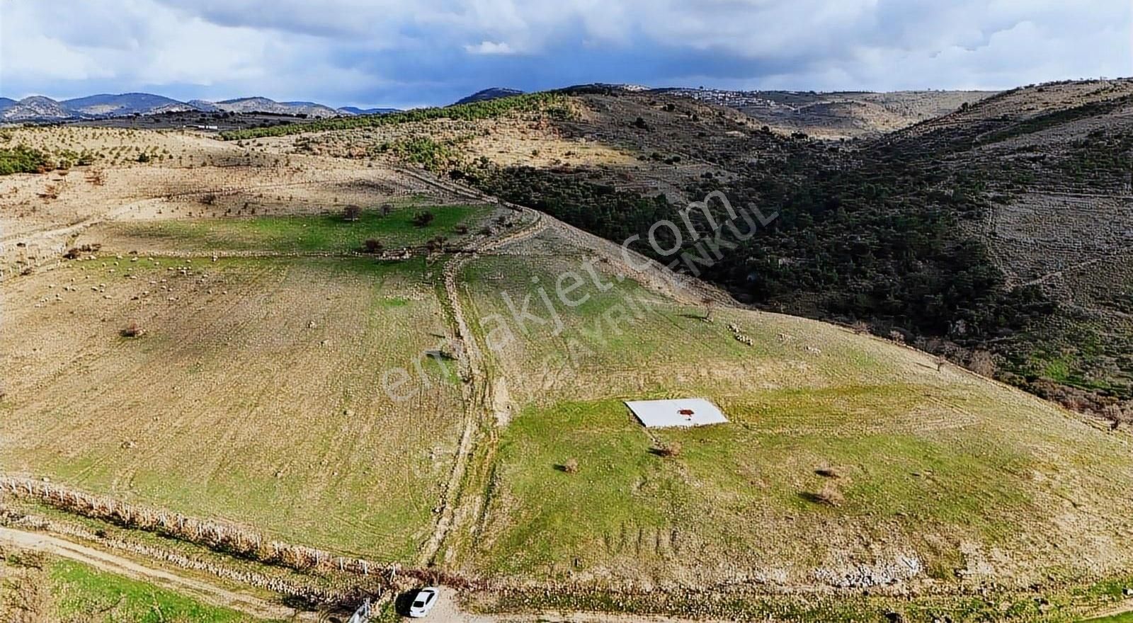 Ayvacık Babadere Köyü Satılık Tarla Çanakkale Ayvacık Babadere Satılık Tarla