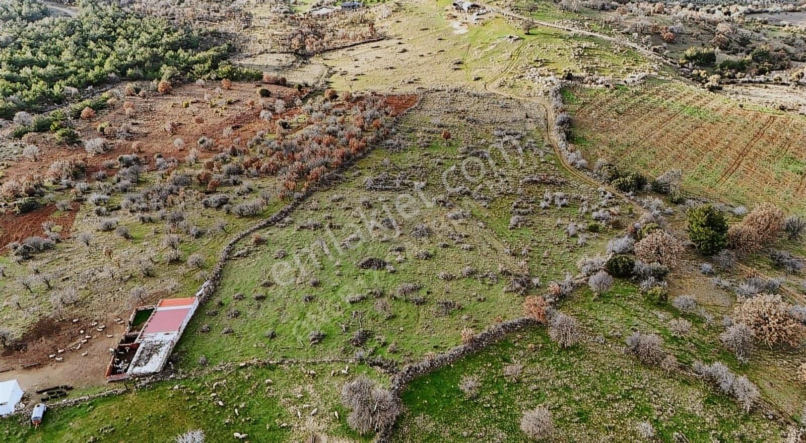 Ayvacık Naldöken Köyü Satılık Tarla Çanakkale Ayvacık Naldöken Köyünde Satılık Tarla