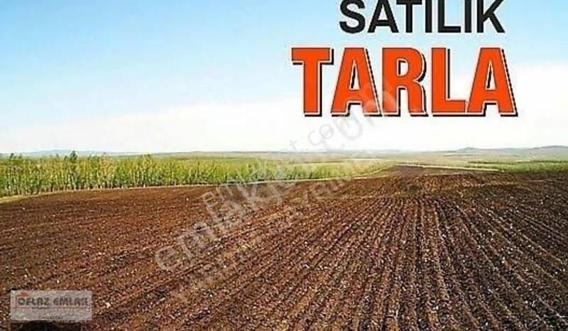 Yayladağı Kösrelik Satılık Tarla Oflaz Emlak'tan Satılık Yayladağı Kösrelikte 4 Dönüm Tarla