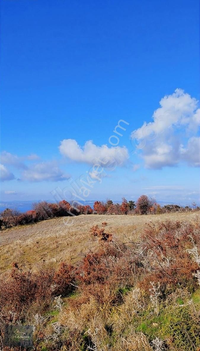 Çanakkale Merkez Yukarıokçular Köyü Satılık Tarla Çanakkale Merkez Yukarıokçular Köyünde Satılık Hisse