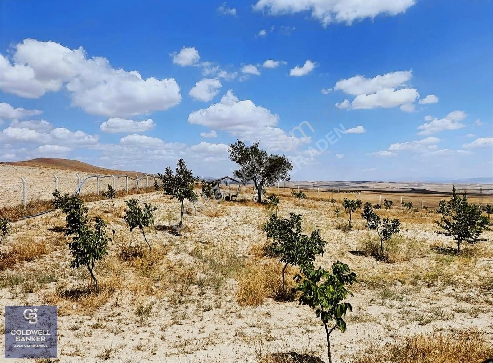 Bala Çatalören Satılık Tarla Bala'da Etrafı Telle Çevrili Su Kuyusu Olan 4535 M2 Bağ