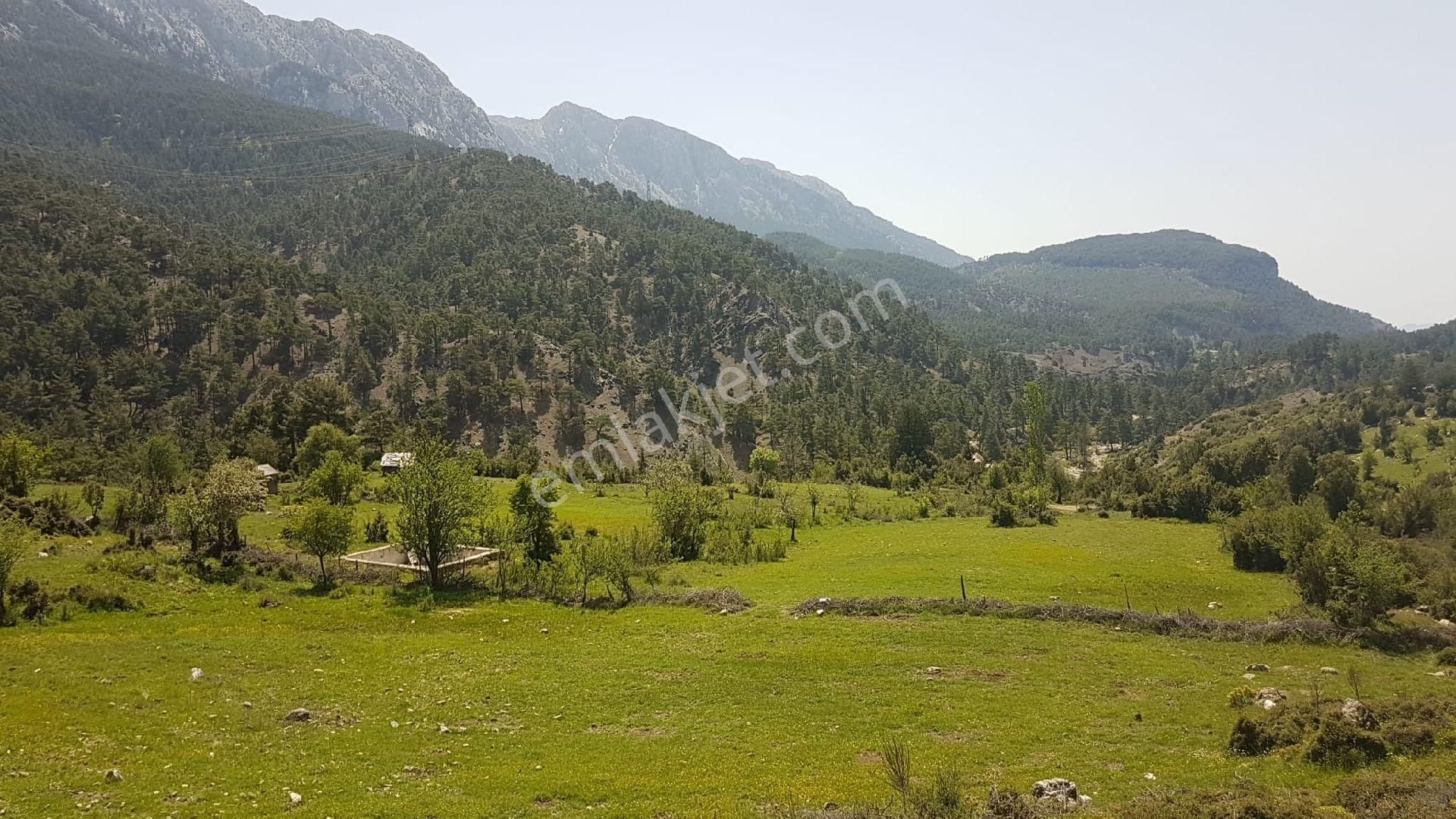 Kumluca Gölcük Satılık Tarla Antalya Kumluca Gölcük De Satılık Tarla