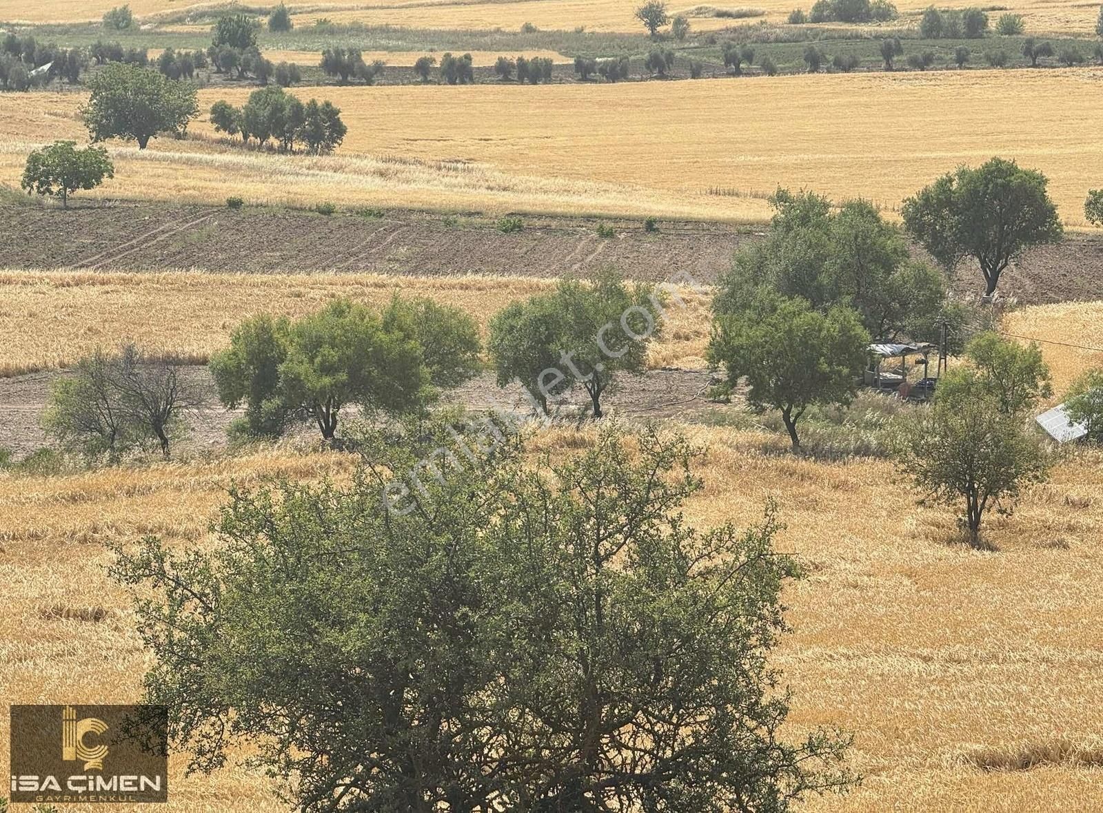 Polateli Şehit Ali Satılık Özel Kullanım Kilis Polateli Güldüzü Mahallesin De İmara Yakın Arazi