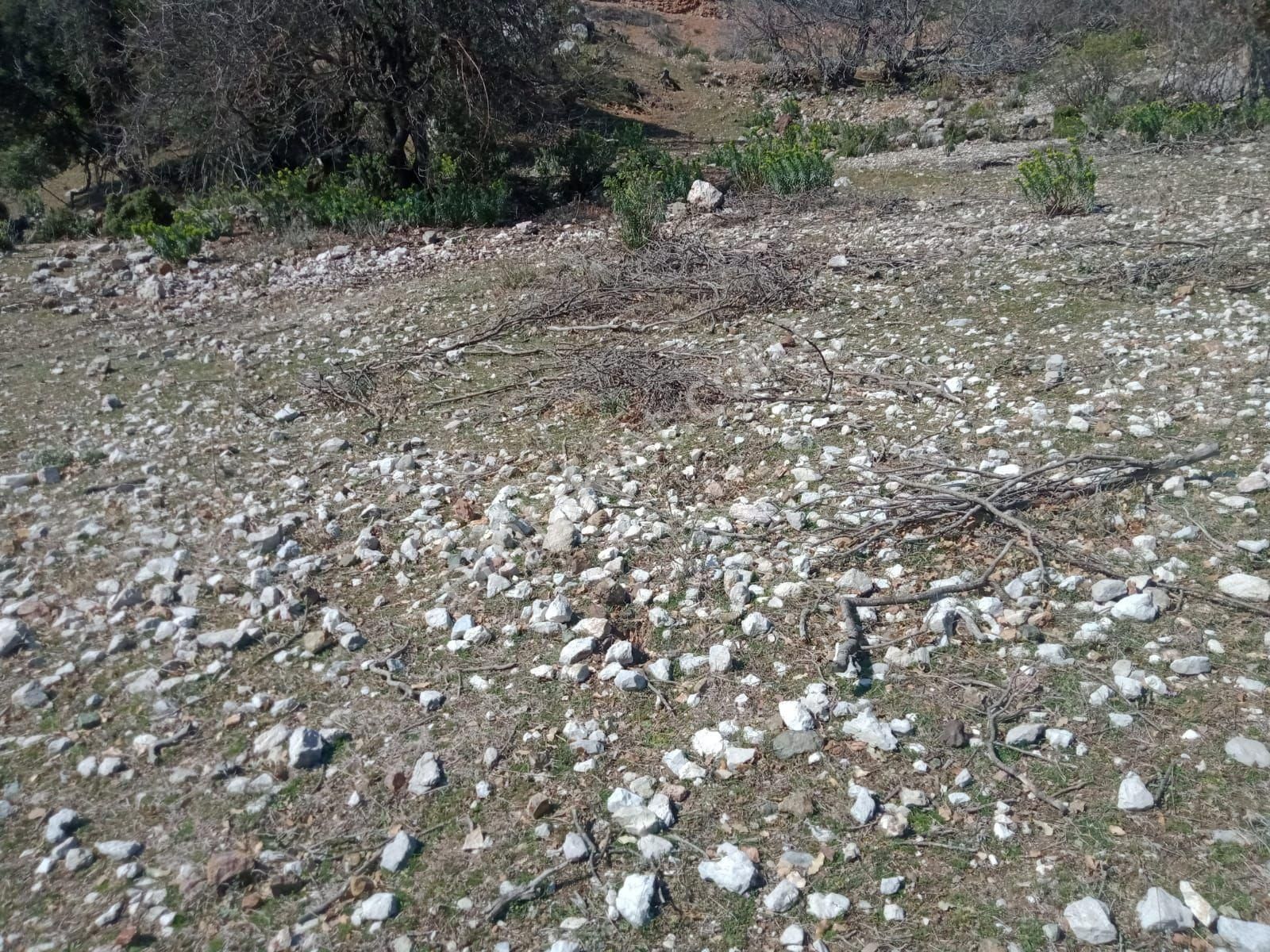 Satılık 2.525 M2 Tarla Antalya Kumluca Da - Görsel 5